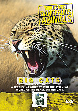 World's Most Dangerous Animals - Big Cats