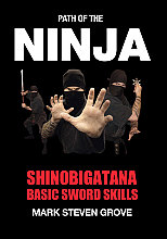 Shinobigatana - Basic Sword Skills