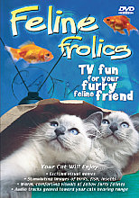 Feline Frolics - TV Fun For Your Furry Feline Friend