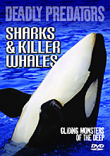 Deadly Predators - Sharks And Killer Whales