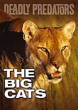 Deadly Predators - The Big Cats