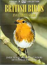 British Birds - An Ultimate Guide (Box Set)