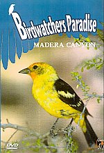 Birdwatchers Paradise - Madera Canyon