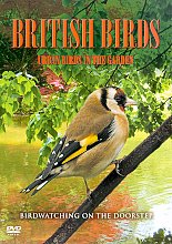 British Birds - Urban Birds In The Garden