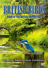 British Birds - Birds Of The British Countryside