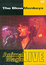 Blow Monkeys - Animal Magic - The Blow Monkeys Live, The