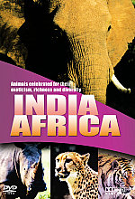 Wildlife - India / Africa