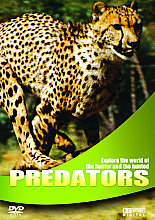 Wildlife - Predators