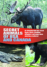 Wildlife - Secret Animals Of USA And Canada