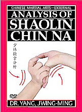 Analysis Of Shaolin Chin Na