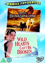 Young Black Stallion/Wild Hearts Can't Be Broken