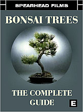 Bonsai Trees: The Complete Guide