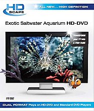 Exotic Saltwater Aquarium