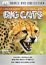 Big Cats