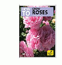 How To Grow Roses