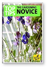 Top Tips For The Gardening Novice