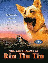 Adventures Of Rin Tin Tin Vol.1, The