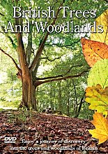 British Trees And Woodland