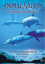 Animal Nation - Spinner Dolphins