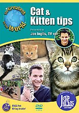 Greatest Cat And Kitten Tips In The World