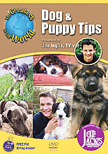 Greatest Dog And Puppy Tips In The World