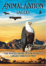 Animal Nation - The Eagle The Whole Story