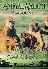 Animal Nation - Baboons - The Whole Story