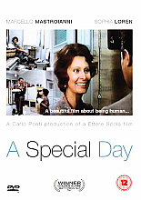 Special Day, A