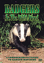 Badgers In The Wood