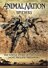 Animal Nation - Spiders - The Whole Story