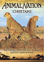 Animal Nation - Cheetahs - The Whole Story