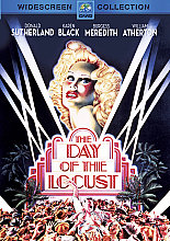 Day Of The Locust