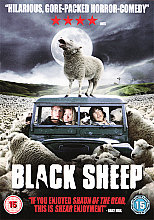 Black Sheep