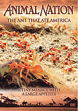 Animal Nation - The Ant That Ate America