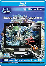 Exotic Saltwater Aquarium