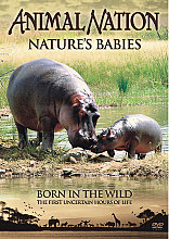 Animal Nation - Nature Babies - Born In the Wild