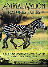 Animal Nation - Nature Babies - Rearing Young In The Wild