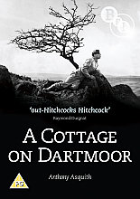 Cottage On Dartmoor, A