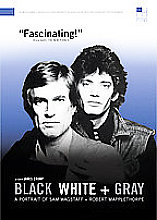 Black, White And Gray - A Portrait Of Sam Wagstaff And Robert Mapplethorpe