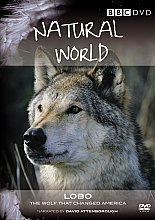 Natural World - Lobo - The Wolf That Changed America