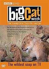 Big Cat Week - Series 4