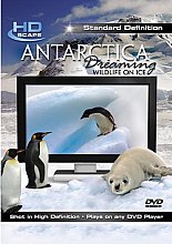 Antarctica Dreaming - Wildlife On Ice