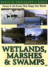 Physical Geography 2 - Wetlands, Marshes And Swamps