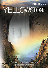 Yellowstone - Tales From The Wild