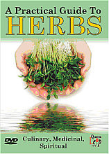 Practical Guide To Herbs, The