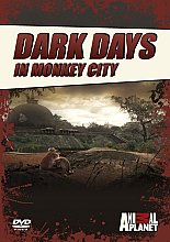 Dark Days In Monkey City