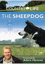 Country Life - The Sheep Dog